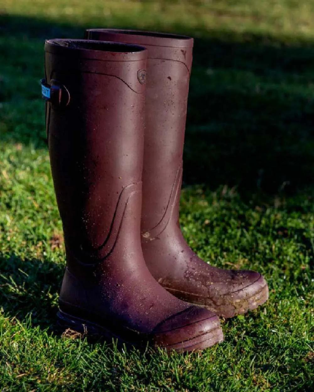 Ariat Womens Kelmarsh Wellington Boots