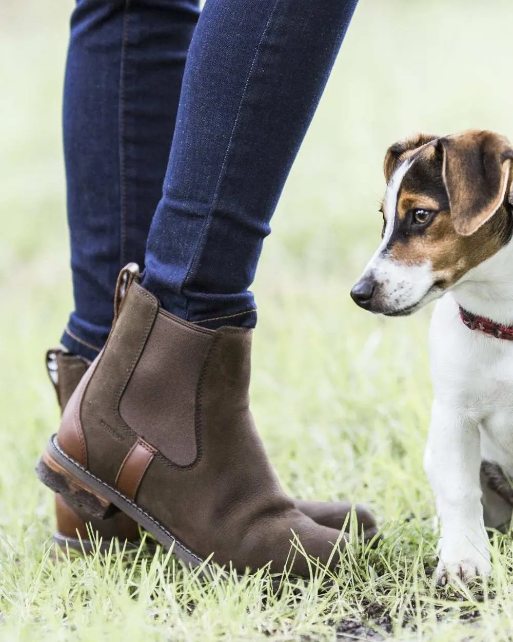 Ariat Womens Wexford Waterproof Boots