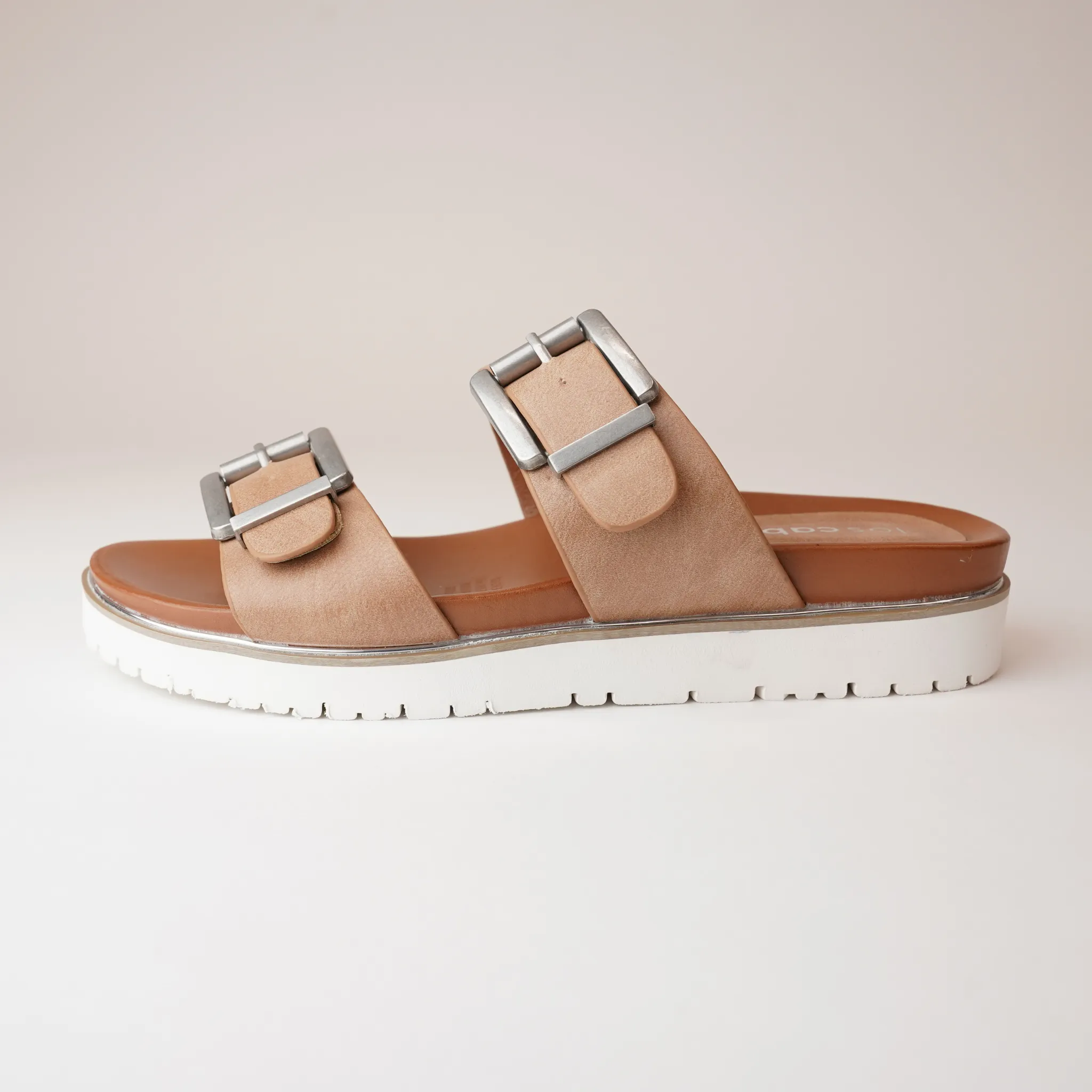 Carter Camel Slides