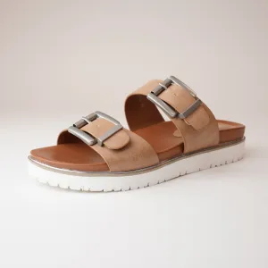 Carter Camel Slides